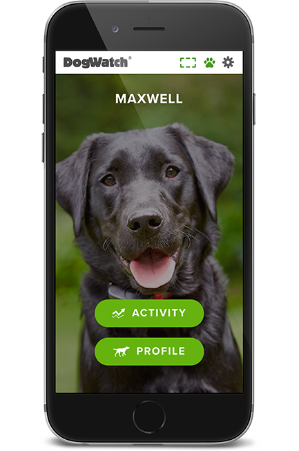 DogWatch of Central Alabama, Vestavia, Alabama | SmartFence WebApp Image