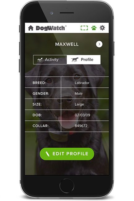 DogWatch of Central Alabama, Vestavia, Alabama | SmartFence WebApp Image