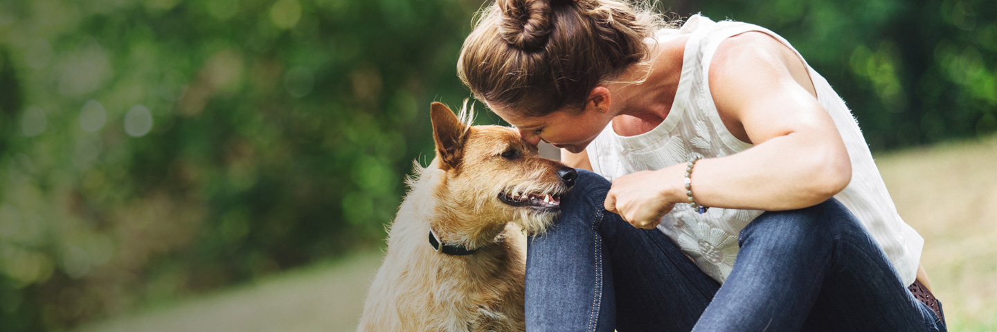 DogWatch of Central Alabama, Vestavia, Alabama | BarkCollar No-Bark Trainer Slider Image